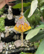 Yellow Lumba With Golden Tones For Bhagwanji
