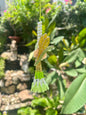 Yellow Tulip Lumba